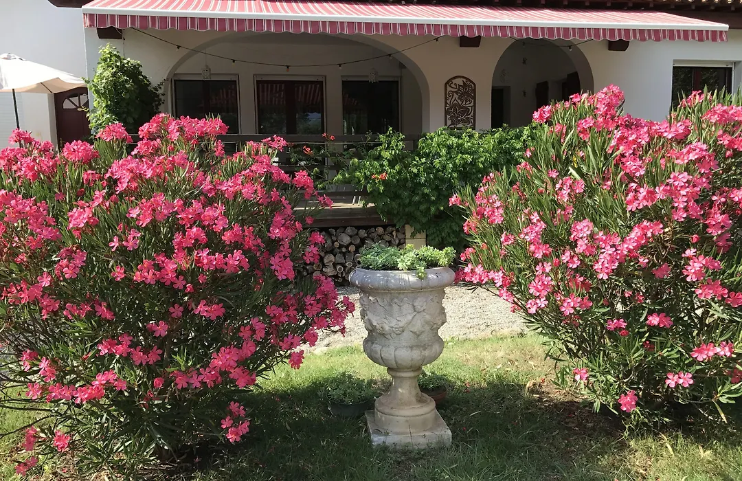La Villa du Parc-1